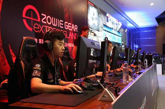 雄鹿与老鹰 雄鹿与老鹰