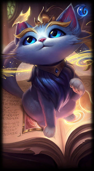 观点的基础 观点的基础