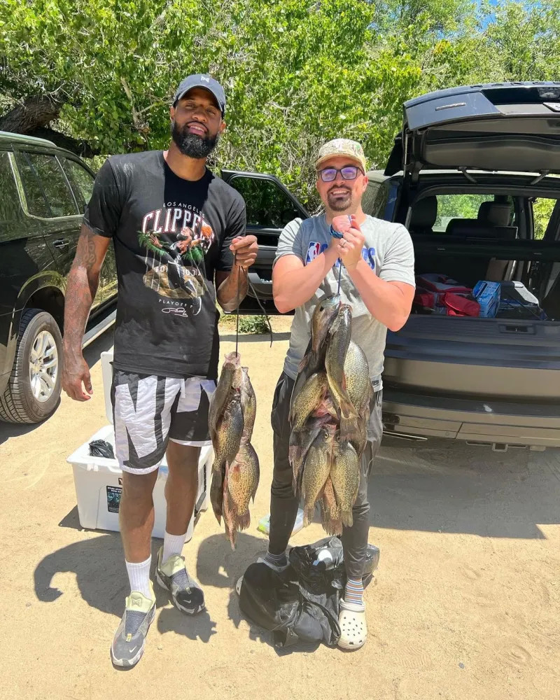 无懈可击的 无懈可击的