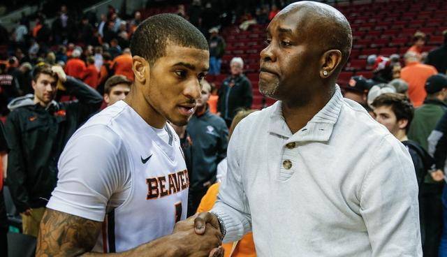 提供了可借 提供了可借